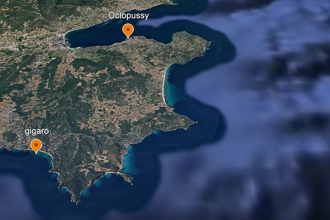 Carte d'accès : Gigaro et Octopussy